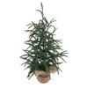 Konstgjord julgran PET Grön Mini julgran Bordsdekoration för Hem Semester Inomhus Matsalsbord Dekor 60cm