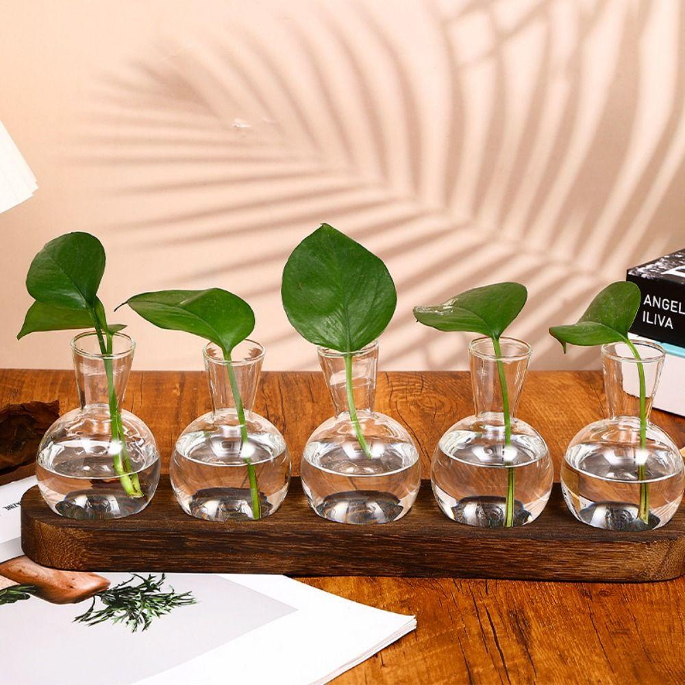 3/5pcs Bottles Plant Terrarium Propagation Station Transparent Glass Planter Bulb Vase Living Room
