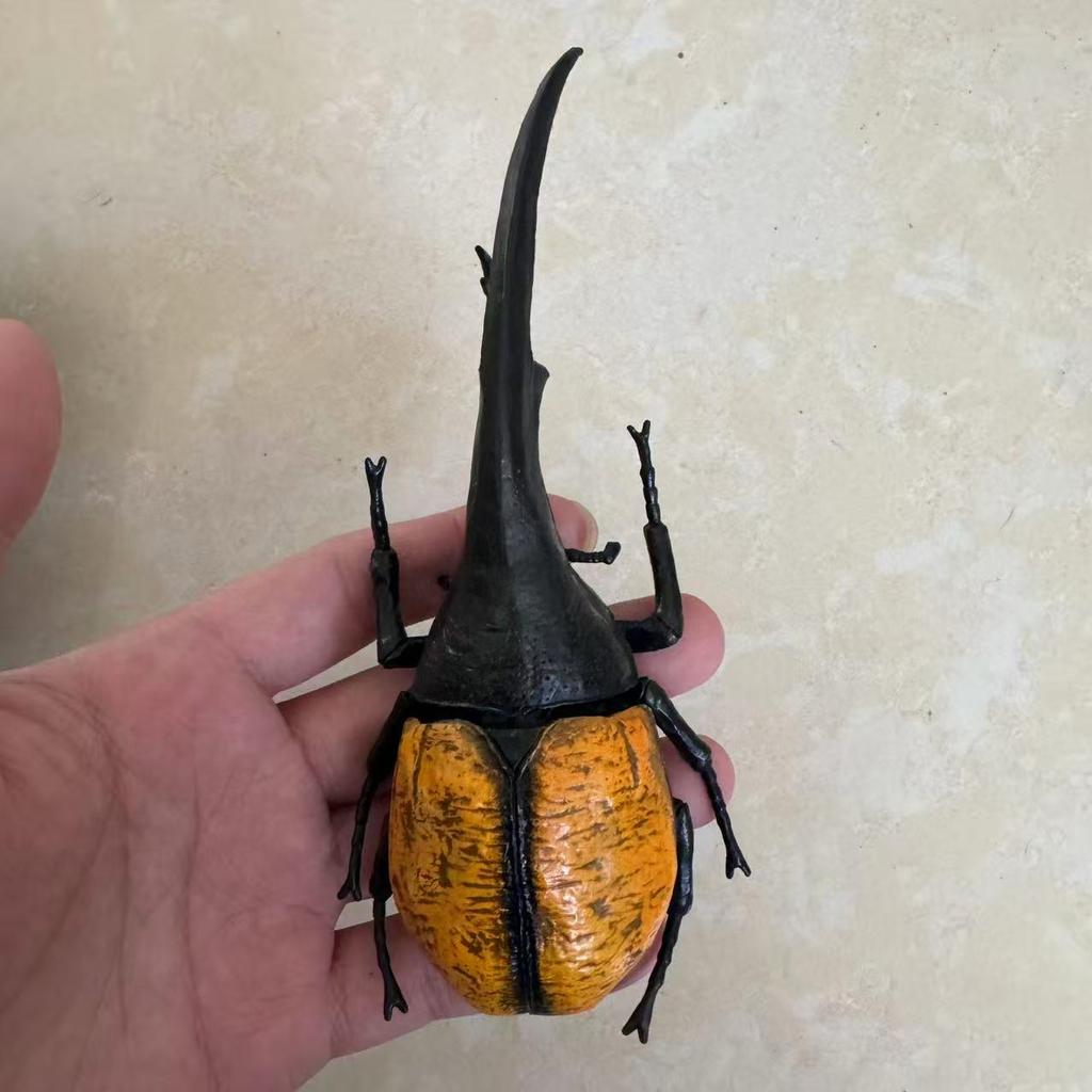 Biographical Analysis of Deer Antler Beetle plus Claw Shaped Insect Beetle Gacha Simulation Animal Movable Joints Figure Playthings