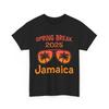 Jamaica Shirt, Spring Break 2025 Beach Lovers Palm Trees Vacation T-shirt