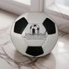Fotbal – Mingi de fotbal