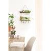 Mkono Plant Propagation Tubes, 2 Tiered Wall Hanging Plant Terrarium with Wooden Stand Vase Glass Planter Stations for Hydroponic Flower Cutting Home