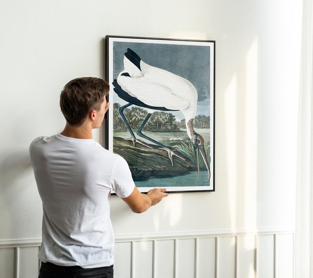 Poster Big Birds White Bird Old School