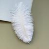 Source Thin Rod Ostrich Hair 20-25Cm High Quality Feather Diy Stage Clothing Accessories Flower Arrangement Material