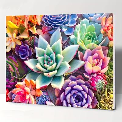 5D-Diamantgemälde zum Selbermachen, bunte saftige Blumen, Kreuzstich-Set, vollständige Diamant-Stickerei, Mosaikkunst, Bild von Strasssteinen, Dekor, Geschenk