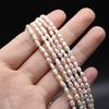 1String, White Natural Freshwater Pearls, Irregular Rice Shape Pearl Beads, 2-3mm, for DIY Jewelry Making, Unique Birthday Party Wedding Crafts, 36cm