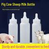 Cow & Calf Milk Bottle Feeder with Medicated Nipple - Veterinary & Breeding Equipment