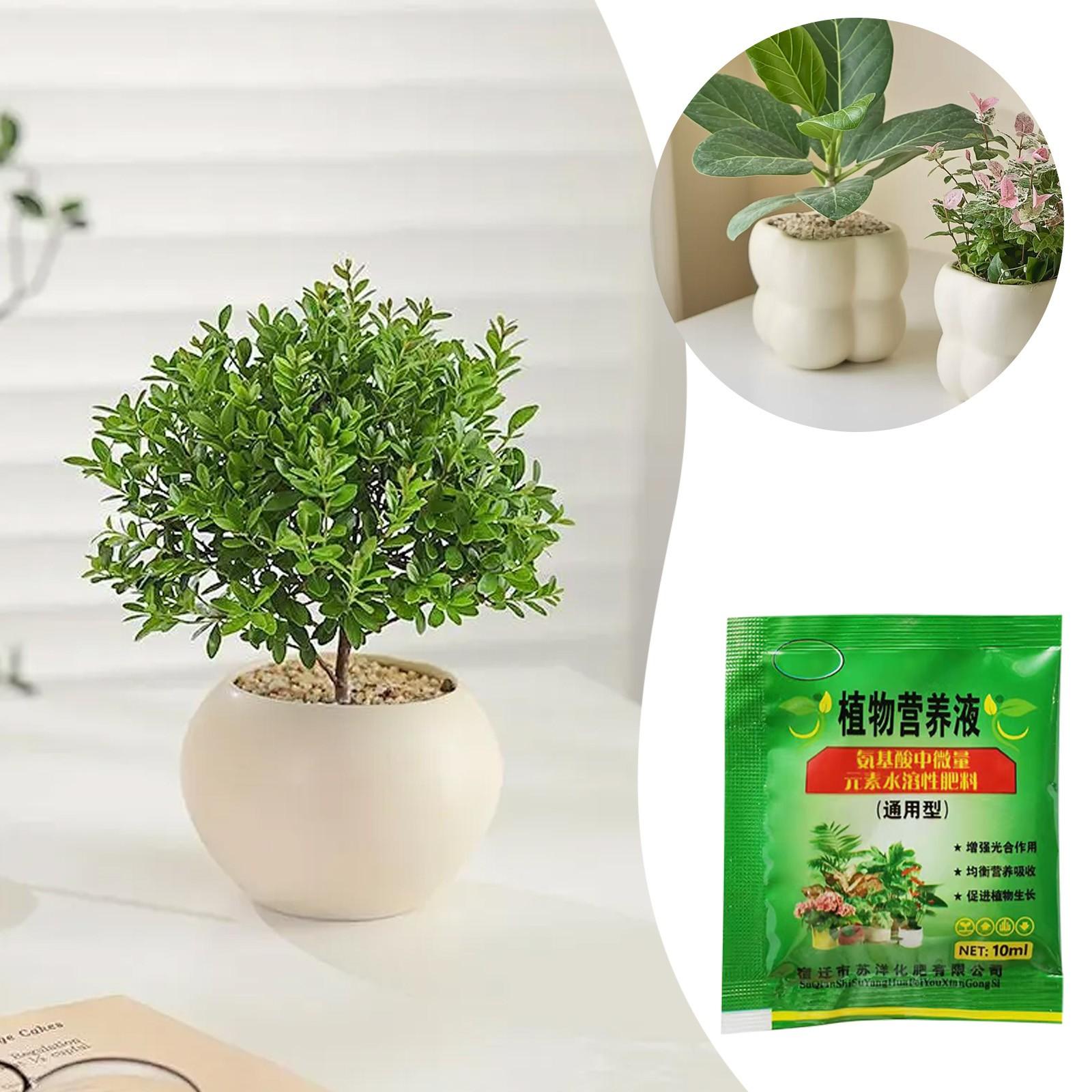 10ml Brazilian Wood Nutrient Solution Nourish Your Brazilian Wood To Easy To Use Simply Dilute And Irrigation Tubing Connectors зелёный