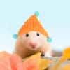 Mini Knitted Small Pet Hat Cute Guinea Pig Hamster Tiny Hat Decorative Photo Prop Rabbit Small Animal Party Costume Accessories