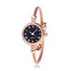 Women's Fashion Quartz Bracelet Watch with Steel Wire Band and Small Dial