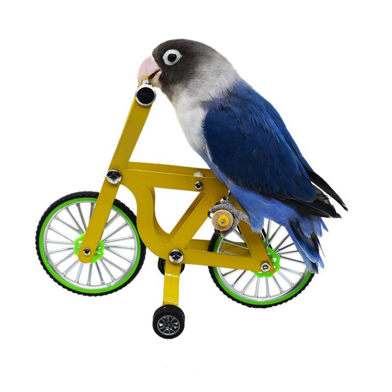 Parrot Bicycle Toy: Interactive Training Tool for Small Birds