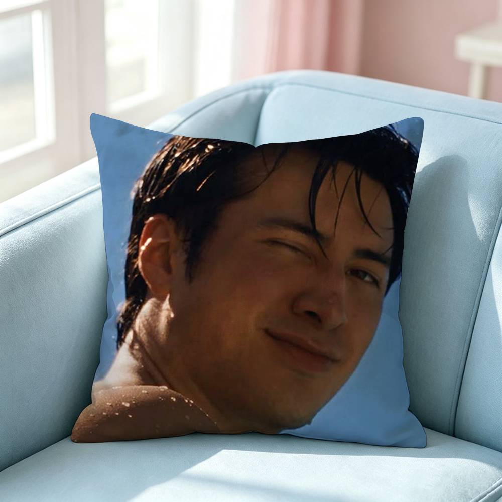 Hudson WWilliams SShane Hollander Pillow Case Square DoubleSided Sofa Cushion Cover Bedroom Bedside Pillow