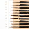 Borrence 11pcs Hook Line Pen art painting brushes weasel hair paint brush gouache watercolor oil paints artists Hand Painted