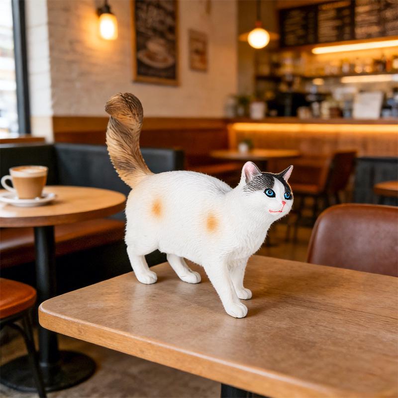 Solid Orange Persian, Ragdoll, Somali, and Blue Short-haired Cat Simulation Models