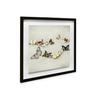 Ian Winstanley Array Of Butterflies Wood Framed Plaque
