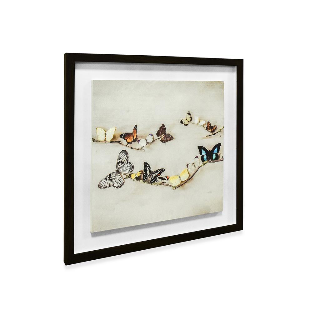 Ian Winstanley Array Of Butterflies Wood Framed Plaque