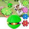 Cães – Brinquedos para cães