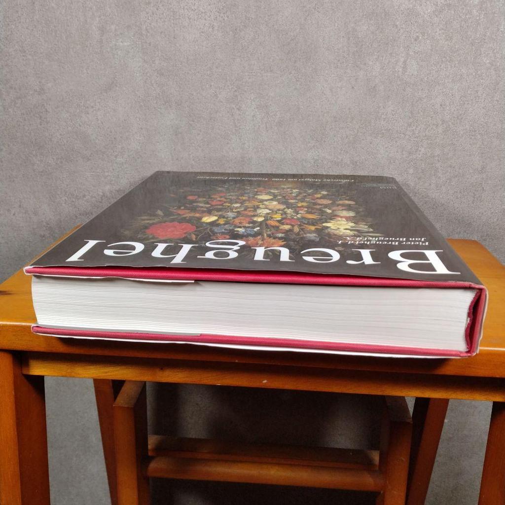 [USED] Pieter Breughel Books German Edition Art Arts