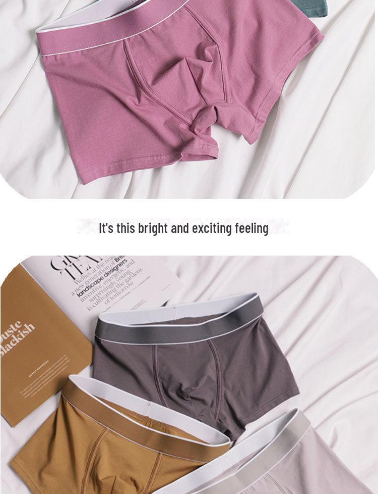 3-Pack Men's Plus Size Solid Color Cotton Boxer Shorts: Simple, Casual Sports Underwear for Young & Middle-Aged.