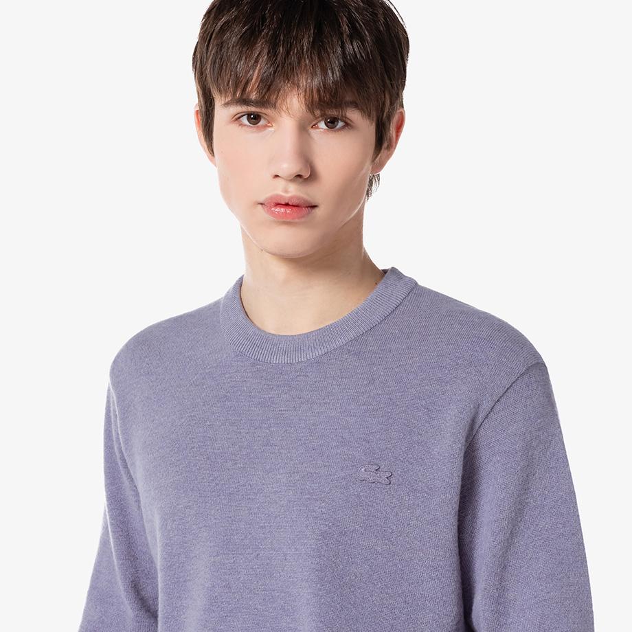 Lacoste Men's Basic Crew Neck Pullover AH496E-54NGFU
