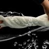 Heavy Duty Aquariums Filter Bag with Fine Weave Polyester Effectively Removes Residues and Reduces Tanks Maintenances