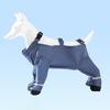 Waterproof Dog Boots Pet Strolling Going Out Pants Pet Leggings And Shoes Outdoor Paw Protector for Rainy Days Snow Trails Mud Parks