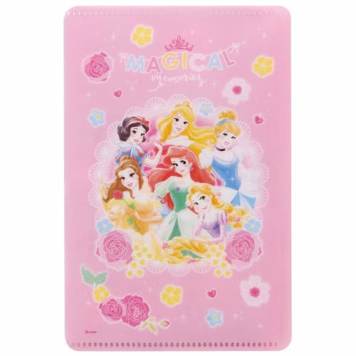 Skater Mask Case Small Size Accessories Card Pocket Tissue Storage Princess Disney MKC2-A