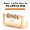 Wear-resisting Parrot Perch Stand Natural Wooden Bird Teeth Chew Toy  Parakeet