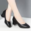 Women Black Shallow Mouth Low Heels Spring Autumn Fashion Round Head Thick Heeled Lightweight Work Office Single Shoes