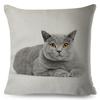 Cute Cat Pillowcase Decor Lovely Pet Animal Print Cojines Cushion Cover Polyester Pillow Case for Home Sofa Children Room 45x45