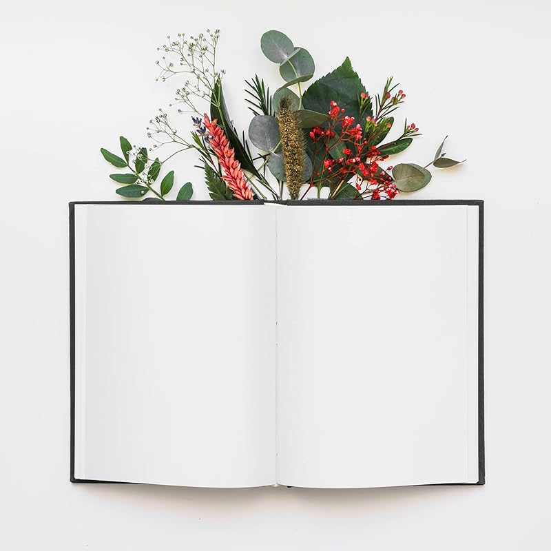 

LAURET BLANC 120 GSM Unruled Notebook Diary Journal- A5 Size, 150 Plain Pages, Hardbound (Style 1) 5