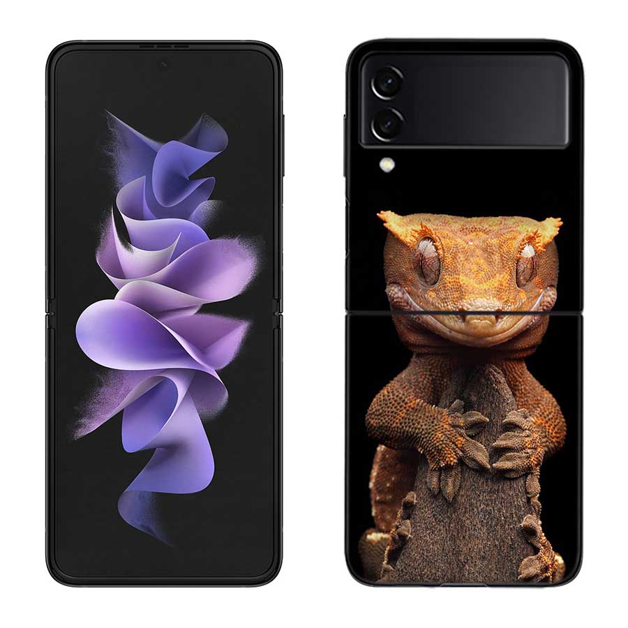 Lizards and Geckos Have Big Eyes Phone Case For Samsung Z Flip 7 6 5G Galaxy Z Flip 5 4 3 Black Hard Cell Cover Luxury PC Shell