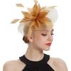 Hemobllo Voile en Maille de Mariée Hauts Chapeau avec Plume, Headpiece en Maille Dorée pour Femmes Mariage Fête du Thé, Accessoire pour Occasion Spéciale