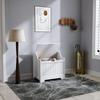 61L Home Storage Chest - White