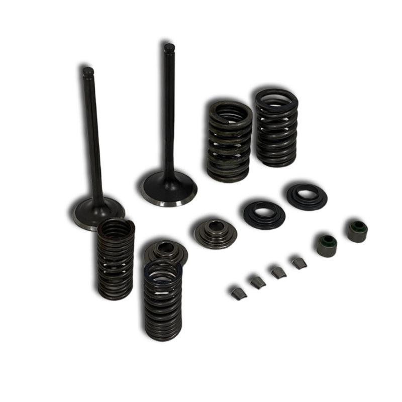 Heavy Duty Engine Valves For CBF150 XR150 KTT150 SDH150 Bikes Reduced Wear Construction With Enhancing Heat Resistance