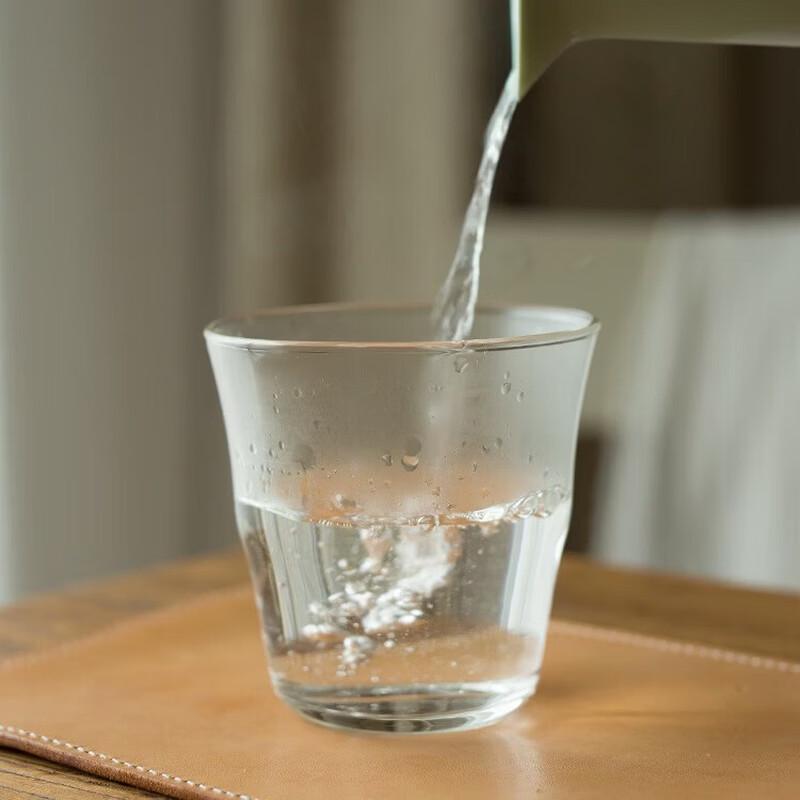 Shangi Japanese Style Heat-Resistant Glass Tumblers