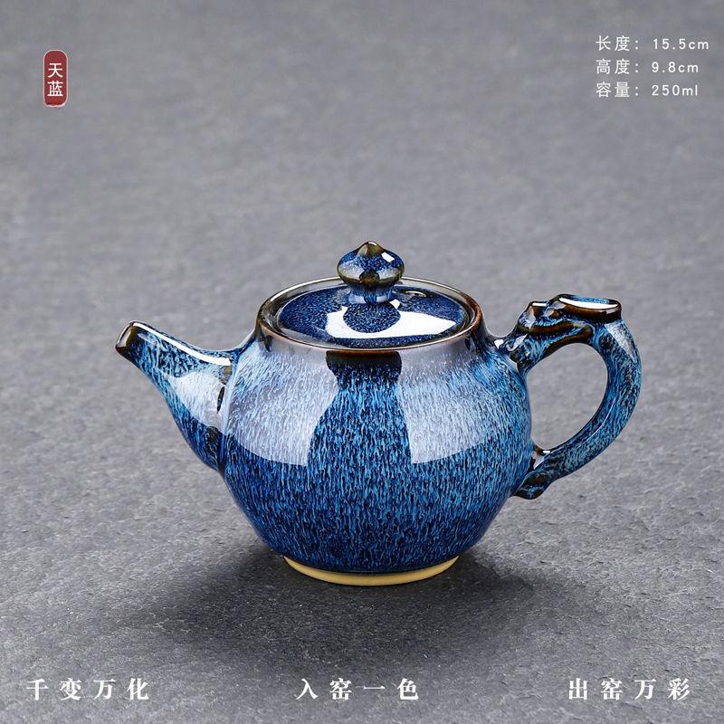 Set da Tè Kung Fu in Ceramica di Alta Qualità Teiera con Manico Laterale Piccola e Raffinata Teiera per la Preparazione del Tè