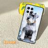Schnauzer Dog Case For Samsung Galaxy M56 M06 M12 M32 M52 M35 M55 M15 M11 M13 M14 M16 M36 M31 M53 M34 M54