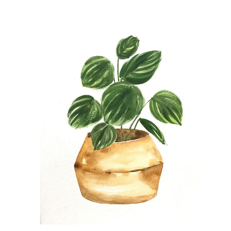 

Растение в горшке акварельный постер семейный сад комнатное растение ботанический холст печать настенная картина для гостиной домашний декор 70cm×120cm NoFrame