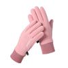 Winter Thermal Gloves Fleece Thickened Cold-proof Touch Screen Cycling Electric Vehicle Driving Gloves Winter Outdoor Gloves