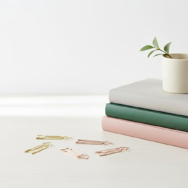 12Pcs Creative Paperclips Colored Metal Paper Clip Metal Bookmarks Clips for Display and Hanging Note Document Postcard
