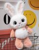 Cute Cute Pet Yaya Rabbit Plush Toy Children's Rag Doll Doll Small Doll Give Girlfriend Birthday Gift