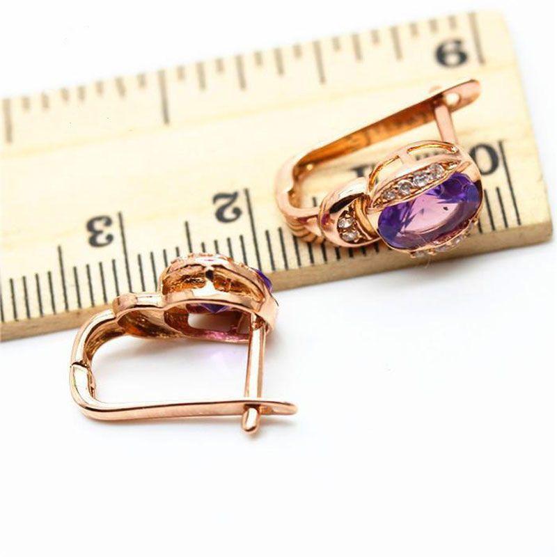 Purple Gold Inlaid Amethyst Plated Rose Gold Foreign Style Personality Hong Kong Style Temperament Ear Jewelry
