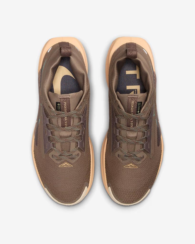 FQ0912-200 Nike Pegasus Trail 5 GORE-TEX Mink Brown Orange Chalk Pearl (Women's)
