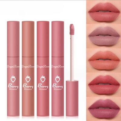 12 barev Pigment pro lesk na rty Matný sametový make-up Voděodolná dlouhotrvající tekutá rtěnka Nude Hnědá Červená Barva Pro ženy