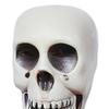 Halloween Hanging Skull Decoration Realistic Plastic Human Head Prop Spooky Skeleton Head Ornament with Lanyard for Home Party Haunted House Decor