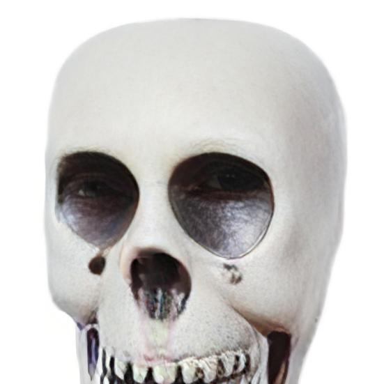 Halloween Hanging Skull Decoration Realistic Plastic Human Head Prop Spooky Skeleton Head Ornament with Lanyard for Home Party Haunted House Decor