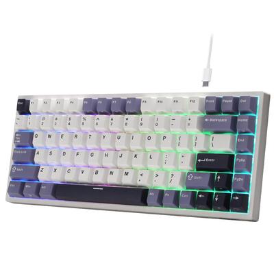 RK ROYAL KLUDGE C84 HE Rapid Trigger Gaming TKL Wired RGB Mechanical Hall Effect Magnetic Switch Adjustable Actuation 8K Hz Polling for FPS US QWERTY