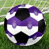 SIZE 5 FK Austria Wien Soccer Ball Colorful All Ages Machine Stitched PVC Competition Ready Durable High-Bounce