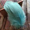 20pcs Natural Goose Feathers 31 Color Loose Goose Feathers 12-20cm Long Christmas Decoration Clothing Shoes Hat Accessories